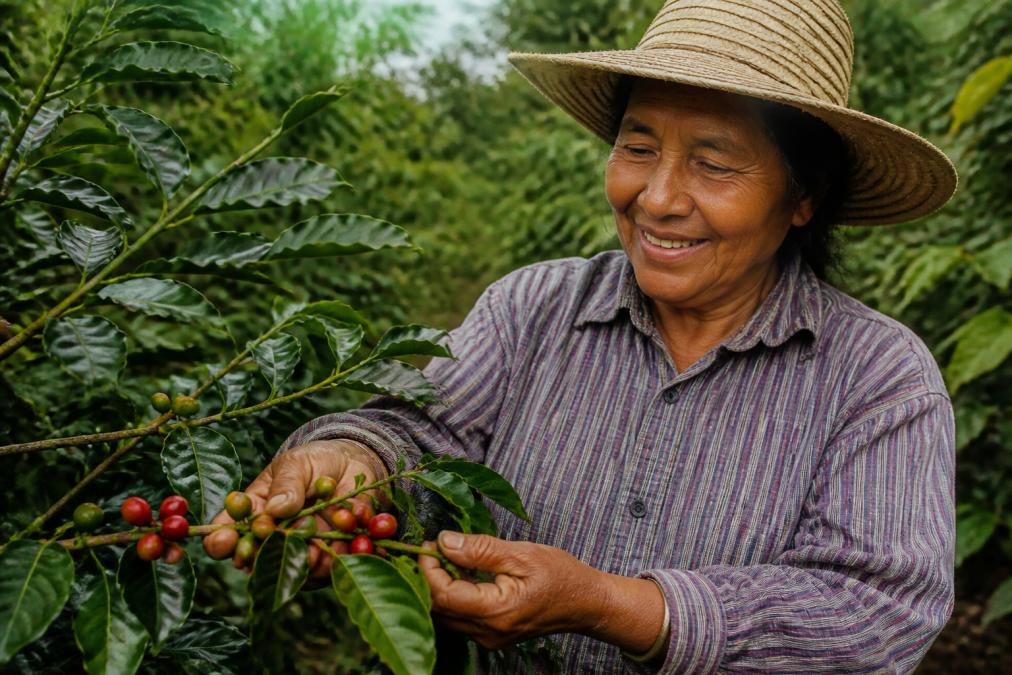 Why Ethically Sourced Coffee Tastes Better